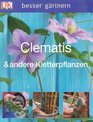 besser grtnern  Clematis  andere Kletterpflanzen