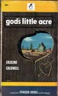 Gods Little Acre