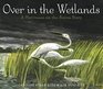 Over in the Wetlands A HurricaneontheBayou Story
