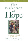 The Perfection of Hope  A Soul Transformed by Critical Illness