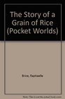 The Story of a Grain of Rice