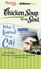 Chicken Soup for the Soul What I Learned from the Cat  20 Stories about Love and Letting Go