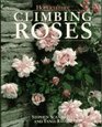 Climbing Roses