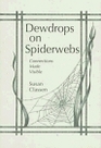 Dewdrops on Spiderwebs: Connections Made Visible