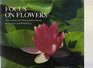 Focus on Flowers Discovering and Photographing Beauty in Gardens and Wild Places
