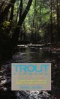 Trout Fishing in North Georgia A Comprehensive Guide to Public Streams and Rivers