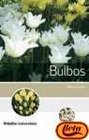 Bulbos / Bulb Genios De La Ciencia Y La Astrologia / Geniuses of Science and Astrology