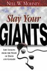 Slay Your Giants Life Lessons from the Story of David and Goliath