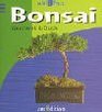 Der Mini Bonsai