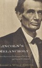 Lincoln's Melancholy  How Depression Challenged a President and Fueled His Greatness