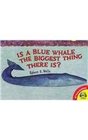 Is a Blue Whale the Biggest Thing There Is
