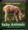 Baby Animals My First Word Book
