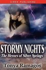 Stormy Nights [The Heroes of Silver Springs 3]
