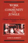 Work and Community in the Jungle Chicago's PackingHouse Workers 18941922