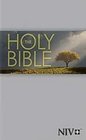 Holy Bible NIV Outreach Bible