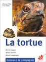 La tortue