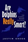 Are Dolphins Really Smart The mammal behind the myth