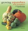 Growing Squashes  Pumpkins A Directory Of Varieties And How To Cultivate Them Successfully