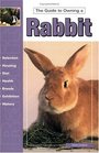 Guide to Owning a Rabbit