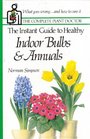 The Instant Guide to Healthy Bulbs  Annuals