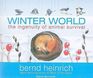 Winter World The Ingenuity of Animal Survival