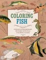 Coloring Fish