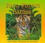 Rain Forest Babies (Houghton Mifflin Reading)