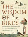 Wisdom of Birds