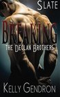 SLATE (Breaking the Declan Brothers, #2) (Volume 2)
