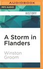 A Storm in Flanders The Ypres Salient 19141918 Tragedy and Triumph on the Western Front
