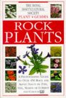 Rock Plants