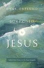 Surprised by Jesus Subversive Grace in the Four Gospels