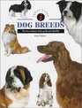 Identifying Dog Breeds The New Compact Study Guide and Identifier
