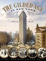 The Gilded Age in New York 18701910