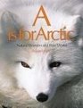 A Is for Arctic Natural Wonders of a Polar World
