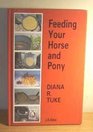 Feeding Your Horse  Pony