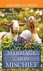 Marriage Can Be Mischief