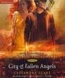 City of Fallen Angels