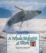 A Whale Biologist at Work