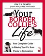 Your Border Collies Life  Your Complete Guide to Raising Your Pet from Puppy to Companion