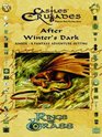 Castles  Crusades After Winter's Dark Aihrde A Fantasy Campaign Setting