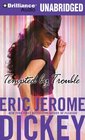 Tempted by Trouble (Audio CD) (Unabridged)