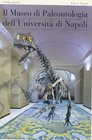 Il museo di paleontologia dell'Universit di Napoli
