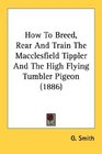 How To Breed Rear And Train The Macclesfield Tippler And The High Flying Tumbler Pigeon