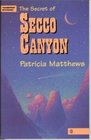 The Secret of Secco Canyon (Thumbprint Mysteries)