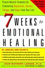 DepressionFree Naturally  7 Weeks to Eliminating Anxiety Despair Fatigue and Anger from Your Life