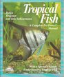 Tropical fish: Everything about freshwater aquariums and the selection and care of fish