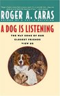 A Dog Is Listening  The Way Some of Our Closest Friends View Us