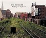 Joel Sternfeld Walking the High Line