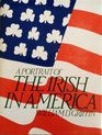A portrait of the Irish in America